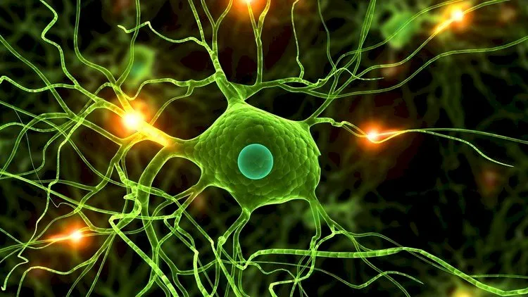 Data Science: Deep Learning in Python