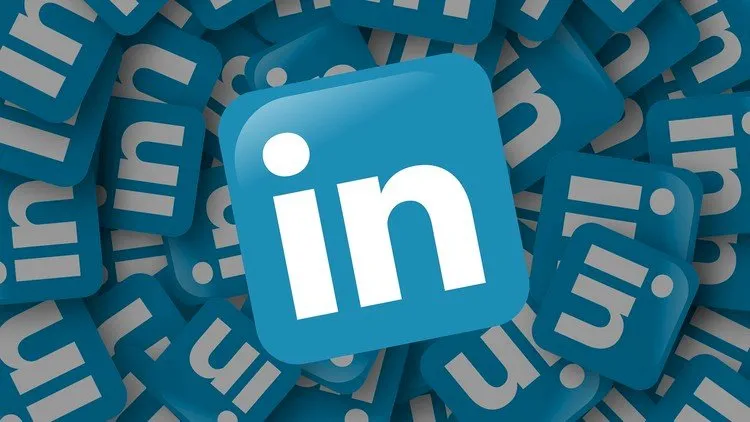 Learn the Basics of LinkedIn in just 30 minutes
