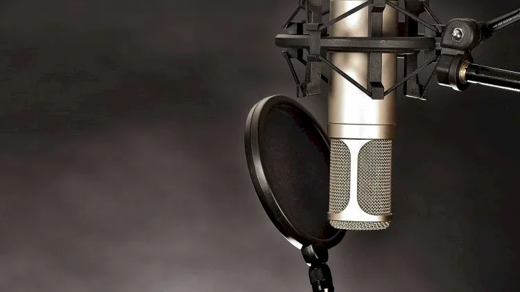 Become a professional Voice Actor in 7 easy steps.