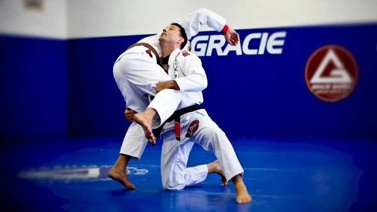 The Most Important Techniques of Brazilian Jiu Jitsu
