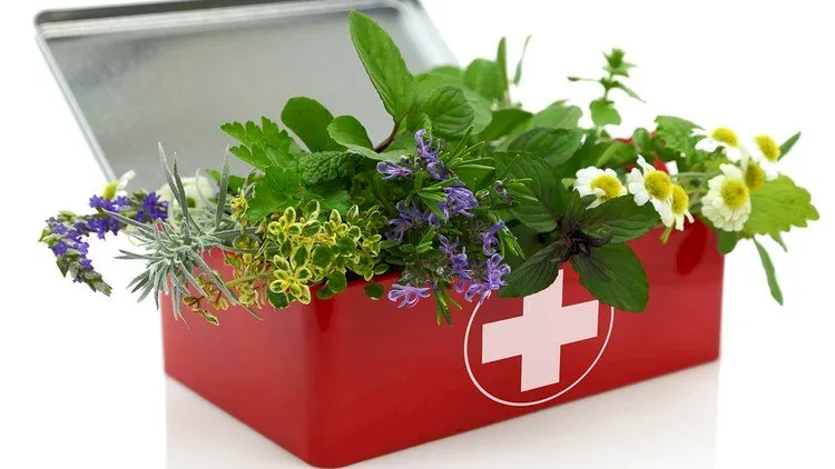 Herbalism :: First Aid Remedies [Certificate]