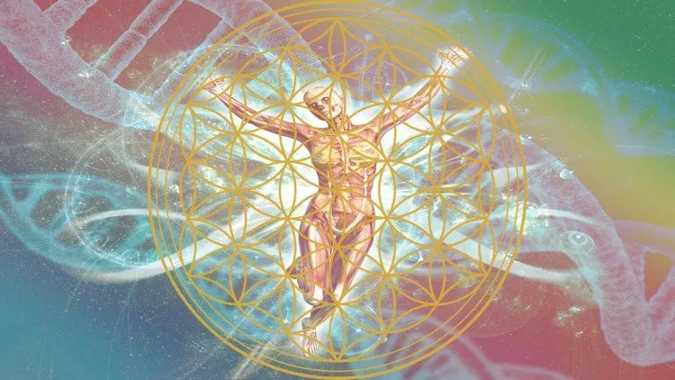 Boost your Health and Immunity with DNA codes!
