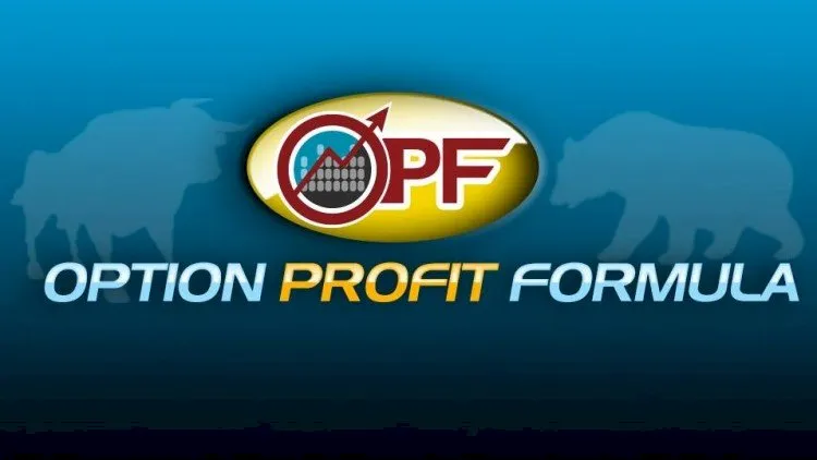 How to Trade Stock Options: Profiting in Up and Down Markets