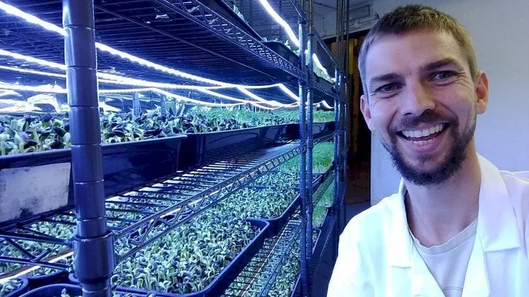 Growing Microgreens for Business and Pleasure