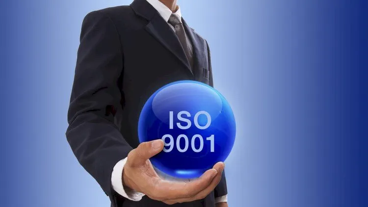 Mastering ISO 9001:2015+Self-Assessment Tool