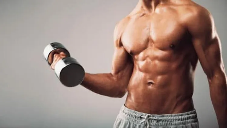 Bodybuilding Masterclass For Beginners (2018)