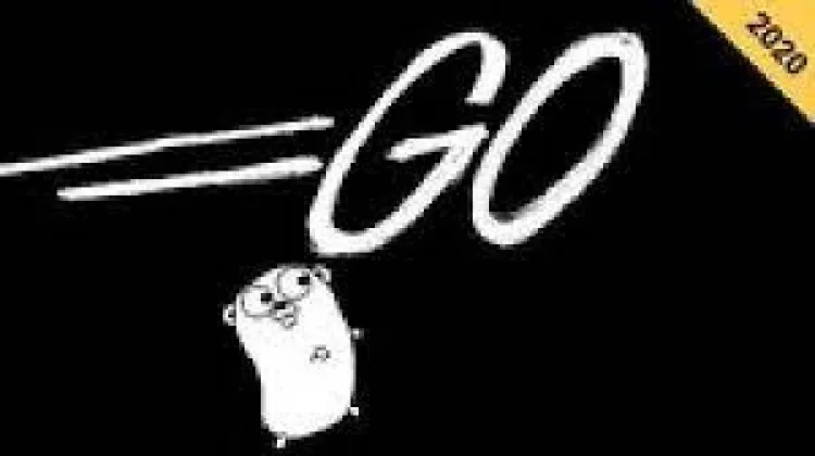 Master Go (Golang) Programming:The Complete Go Bootcamp 2021