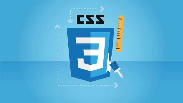 CSS – The Complete Guide 2021 (Incl. Flexbox, Grid & Sass)
