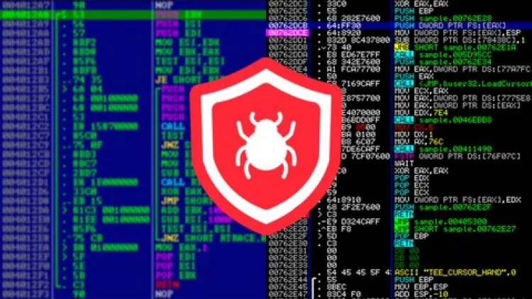 Reverse Engineering, Debugging And Malware Analysis – 2021