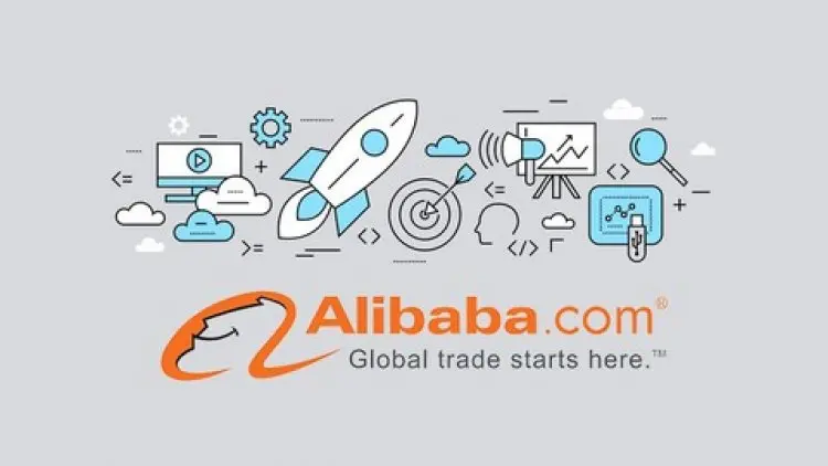 Complete Alibaba Dropshipping Business: From Zero To Hero